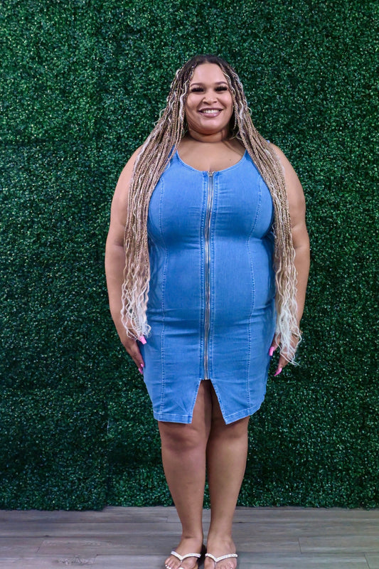 Carly Zip Up Denim Dress
